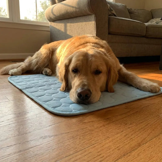 Aerofold™ Cooling Pet Mat